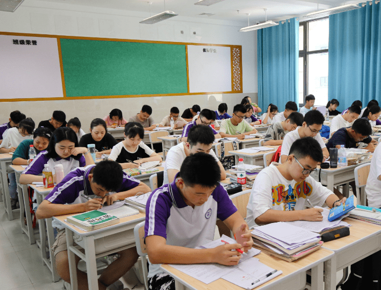 從小學到高中，孟津雙語學校的全面教育解析