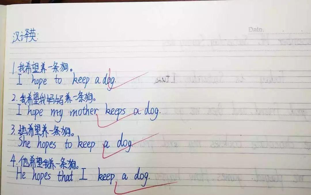 如何在雙語教學(xué)中提升學(xué)生的語法掌握