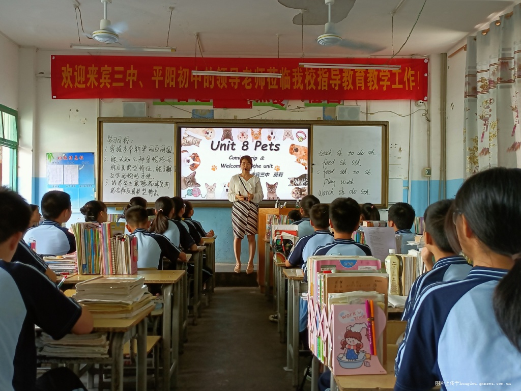 互動課堂如何提升雙語教學(xué)的有效性