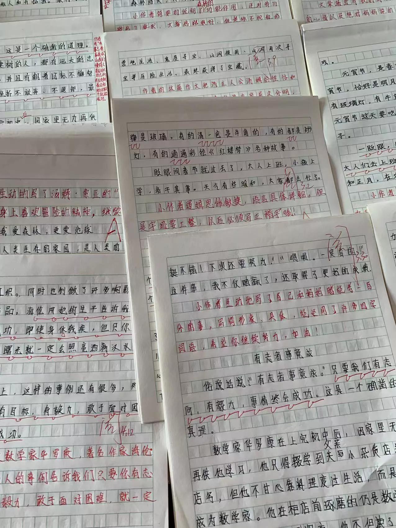 雙語(yǔ)學(xué)校如何提高學(xué)生的閱讀理解能力