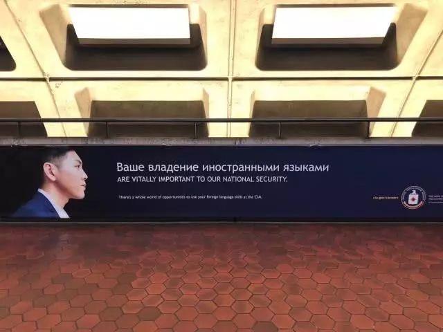 如何優(yōu)化雙語課堂的語法教學策略