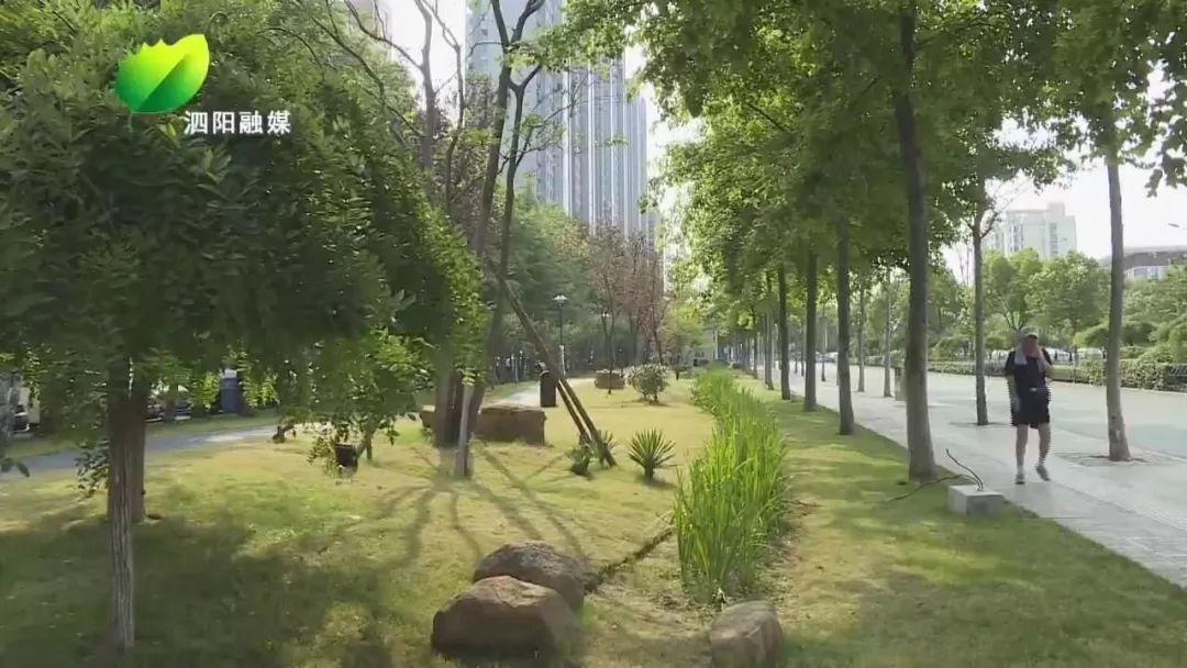 雙語課堂跨學科整合的優(yōu)化策略