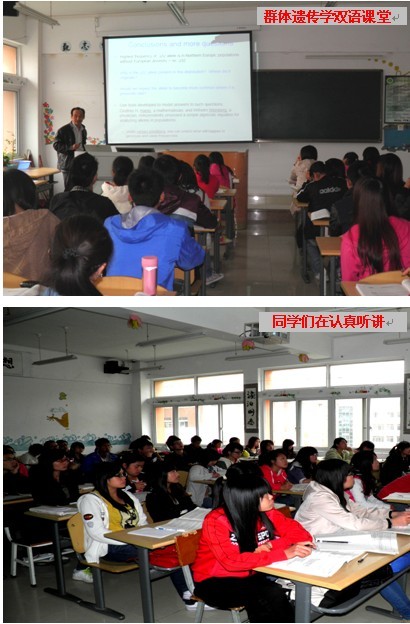 雙語學校學科英語優(yōu)化的策略與路徑