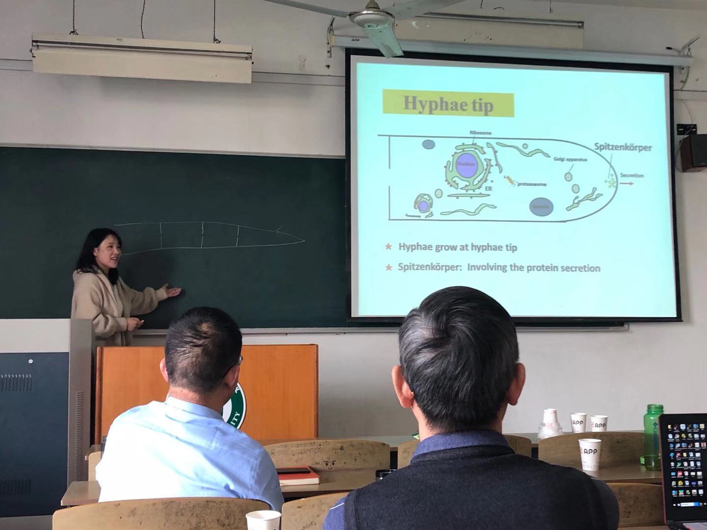 如何優(yōu)化雙語學校的學科英語教學