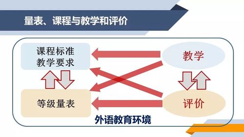 認(rèn)知發(fā)展水平對(duì)雙語(yǔ)教學(xué)評(píng)估的影響研究
