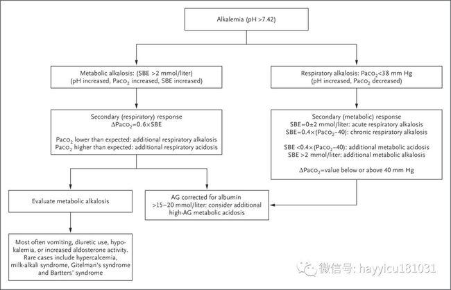 語料庫分析技術在雙語寫作評估中的實踐與運用