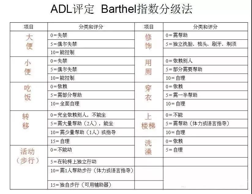 教育評估中的平衡藝術(shù)，學(xué)生自評與教師評估的權(quán)重與雙向互動策略