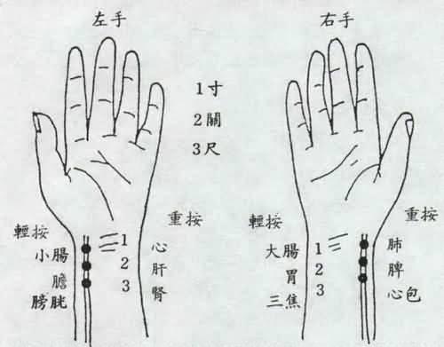提升自主學(xué)習(xí)能力，學(xué)生評(píng)估與支持策略與實(shí)踐