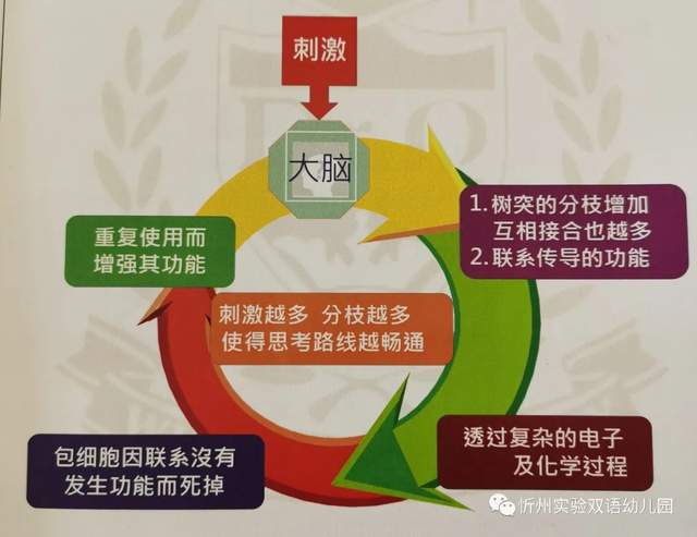游戲化評估，提升學(xué)生學(xué)習(xí)體驗的策略