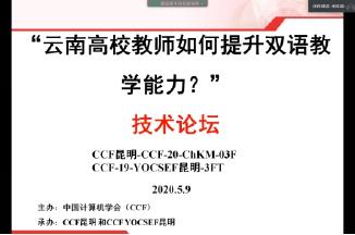 雙語教師提升個(gè)性化教學(xué)能力的策略與途徑