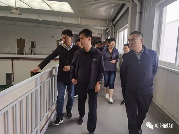 如何通過(guò)心理支持系統(tǒng)提高雙語(yǔ)教師的職業(yè)幸福感