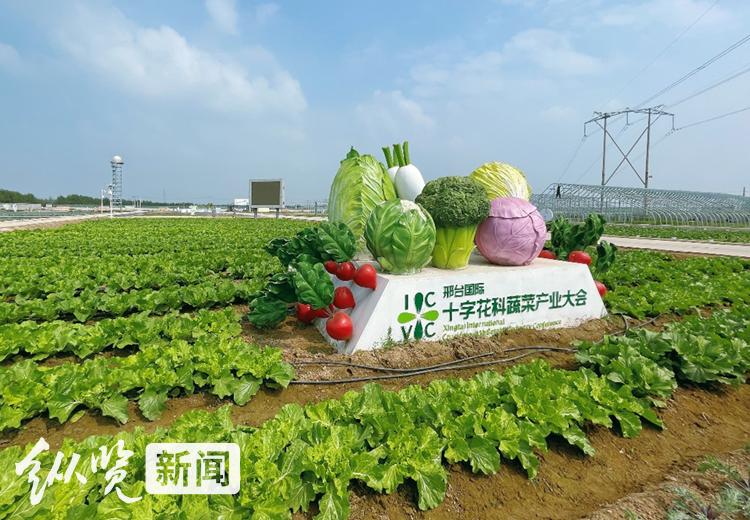 如何通過網(wǎng)絡(luò)研討會(huì)促進(jìn)雙語教師的專業(yè)發(fā)展