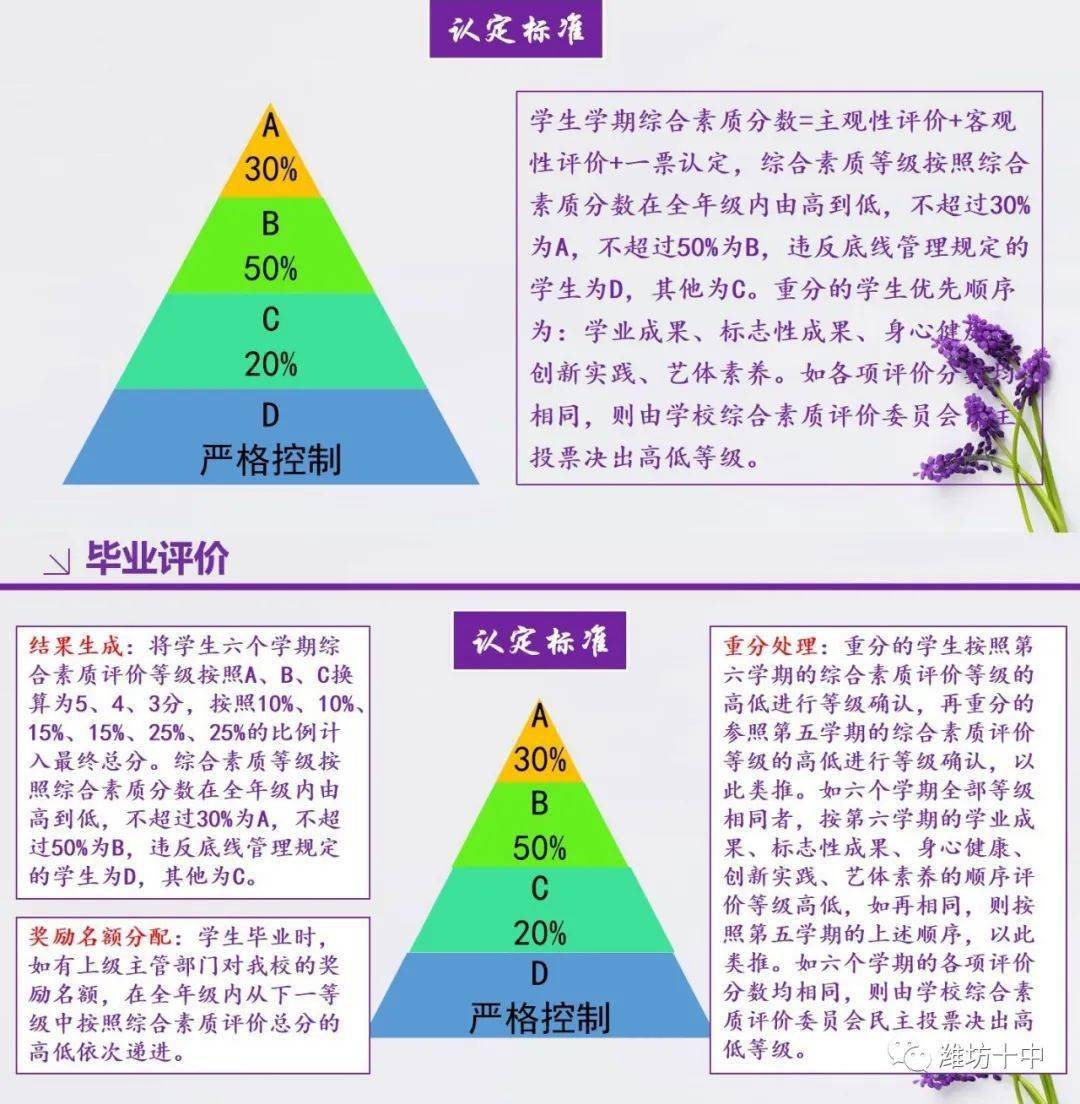 學(xué)生綜合素質(zhì)評價改革的探索與實踐