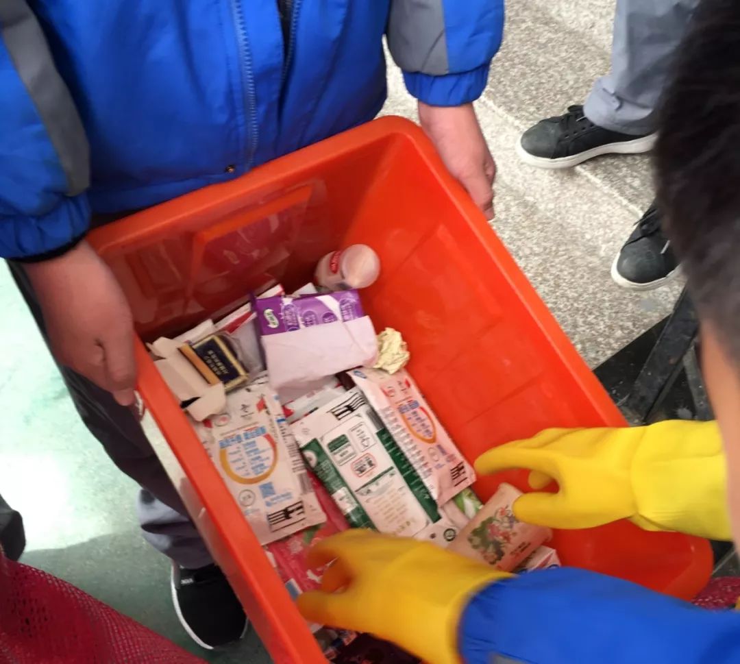 校園垃圾分類(lèi)與回收實(shí)踐