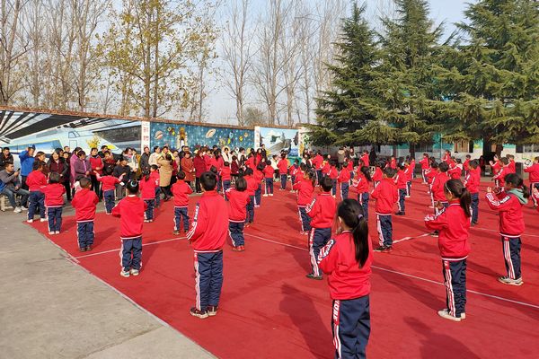 校園體育活動(dòng)成果展示會(huì)，展現(xiàn)活力與榮耀的舞臺(tái)