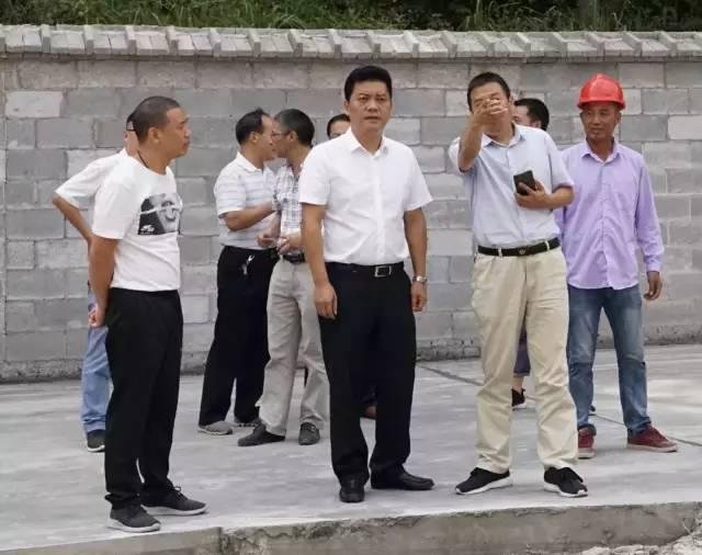 校園交通安全標(biāo)識規(guī)范化，打造安全和諧的校園環(huán)境