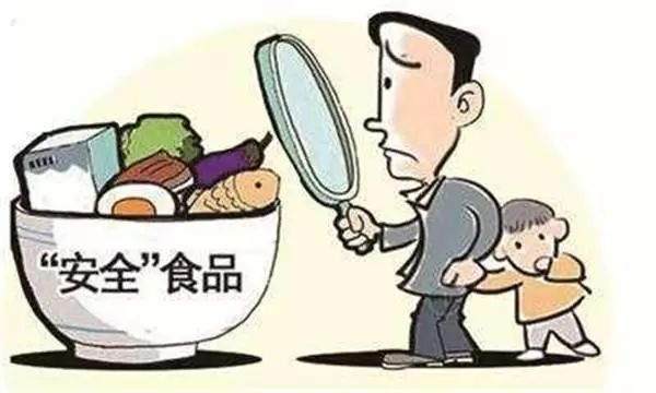 校園食品安全監(jiān)管與學(xué)生參與機制的深度探討，學(xué)校食品安全監(jiān)管與學(xué)生權(quán)益保障研究