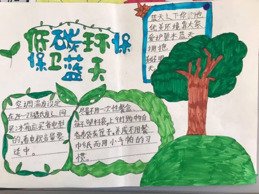校園節(jié)能減排與學生環(huán)保意識培養(yǎng)的關(guān)系探究，實踐中的互動與影響