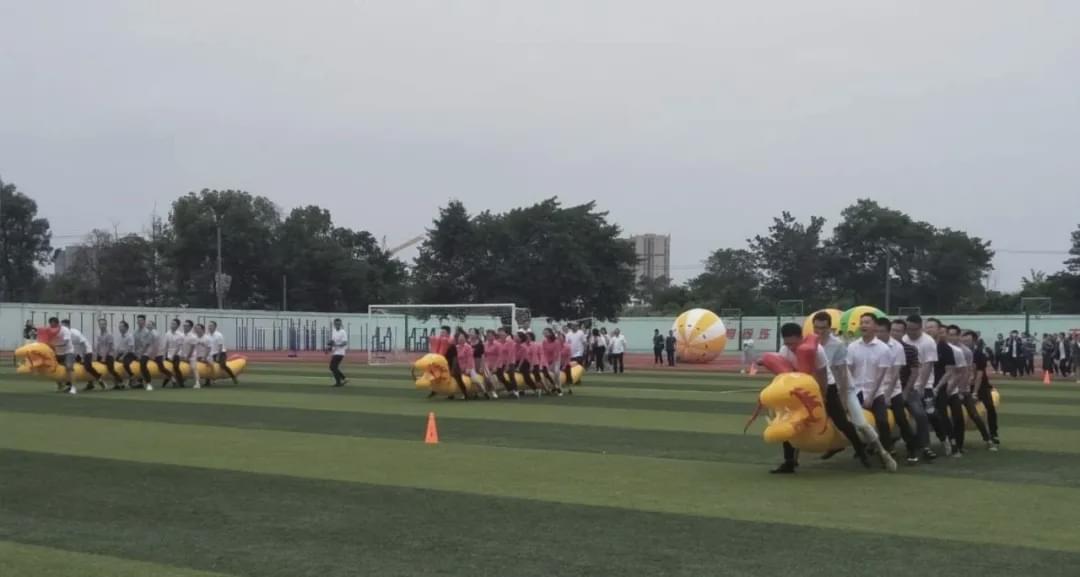 校園體育活動(dòng)與教師體育活動(dòng)組織能力培養(yǎng)的重要性