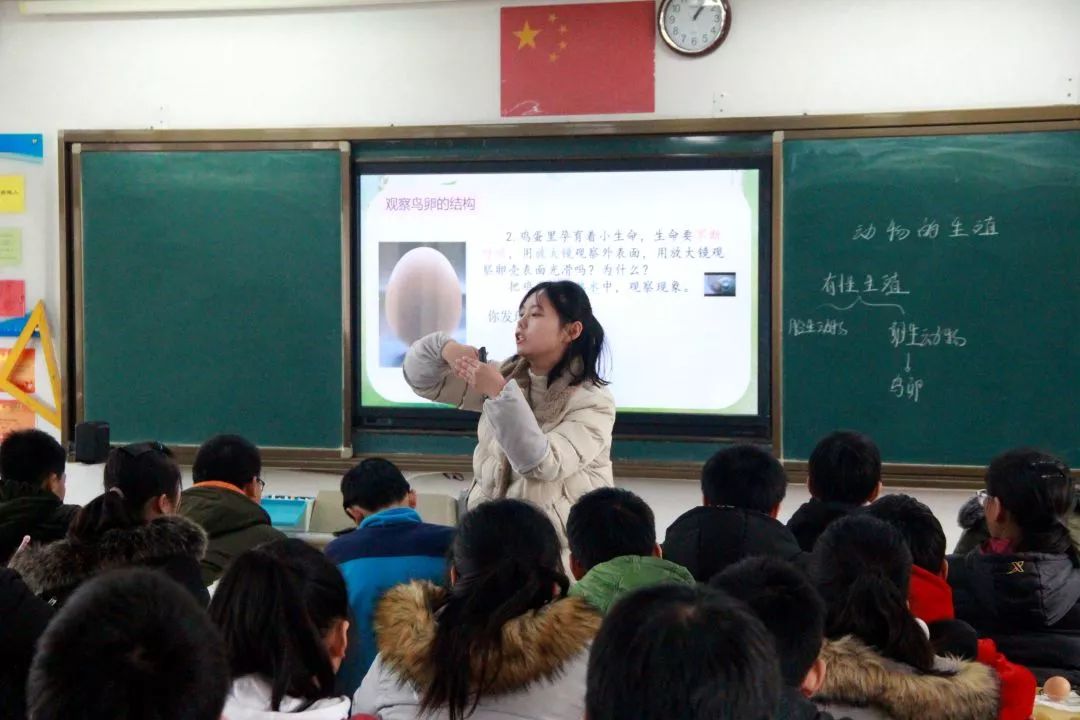 新知識探索，教師教學(xué)的活力源泉