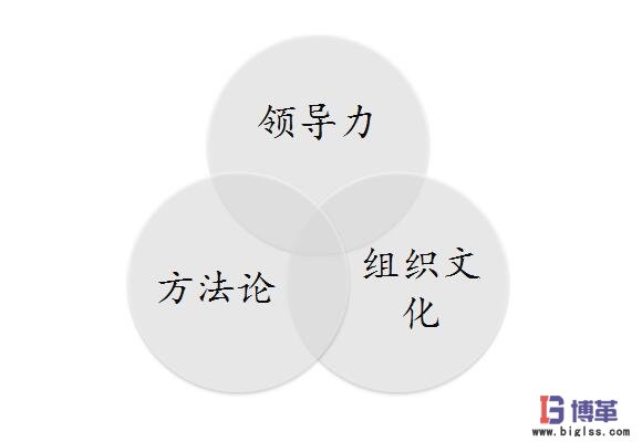 雙語教師如何通過領(lǐng)導(dǎo)力推動學(xué)校文化的積極轉(zhuǎn)變