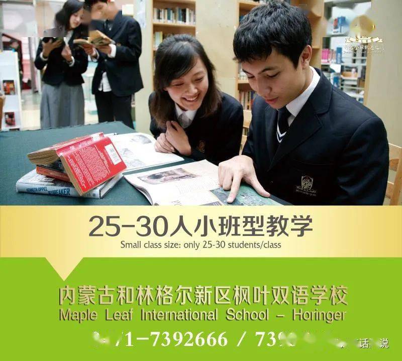如何通過團隊合作提升雙語學校的文化多樣性教育