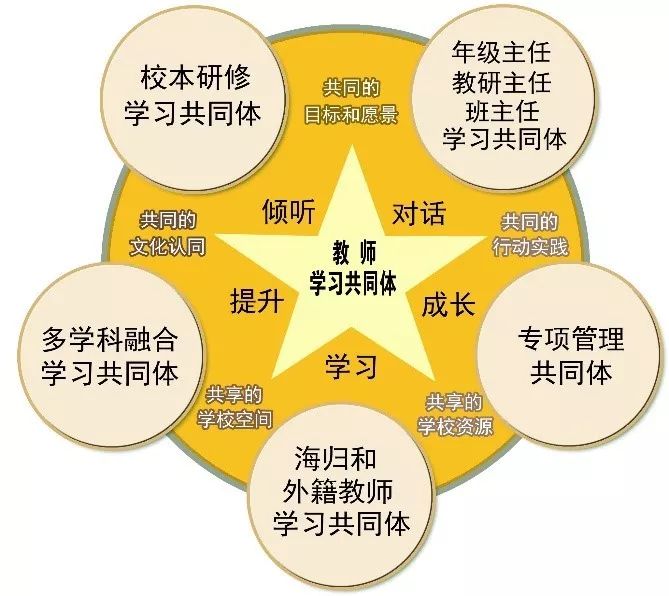雙語(yǔ)教師在教學(xué)團(tuán)隊(duì)中的協(xié)調(diào)者角色探究