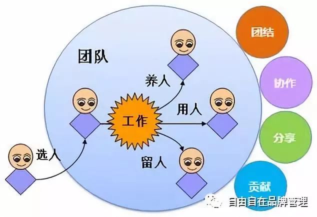 如何根據團隊成員的特長分配教學任務