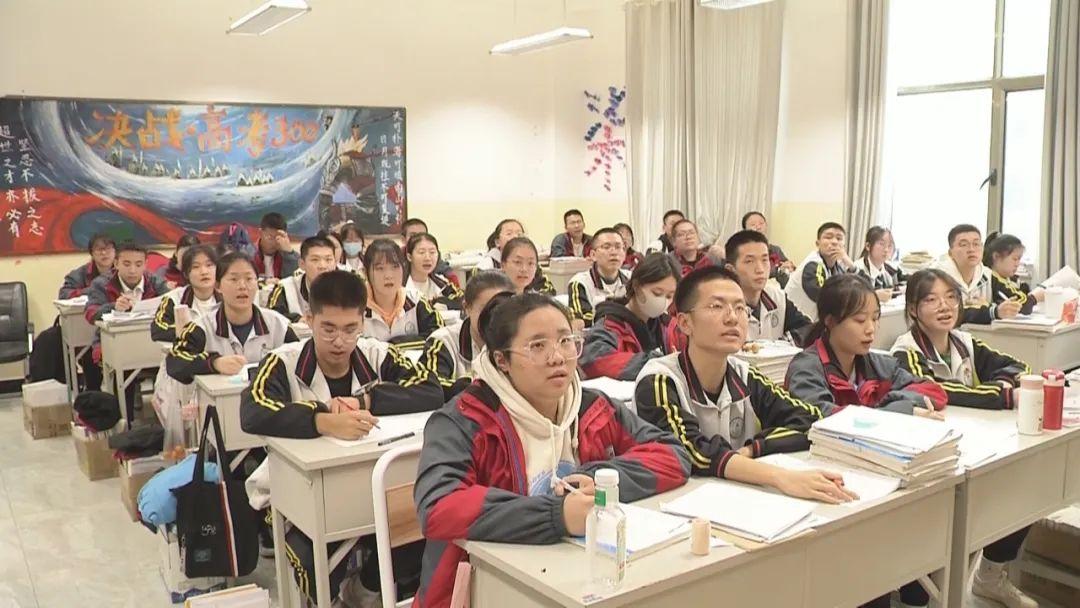 教師團隊中的領(lǐng)導(dǎo)、支持與執(zhí)行角色深度解析與探討