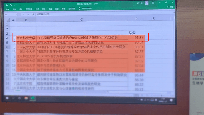 教師團隊如何通過獎勵機制提升團隊成員的投入度