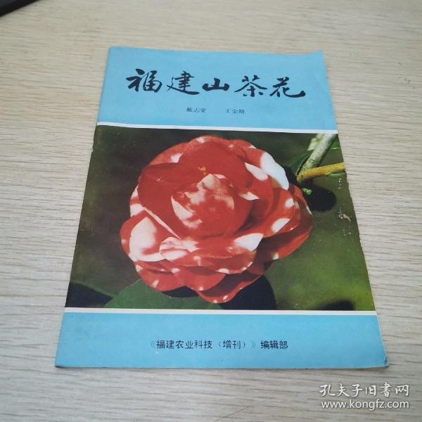 孟津雙語學校杰出的教育者——王金勛老師