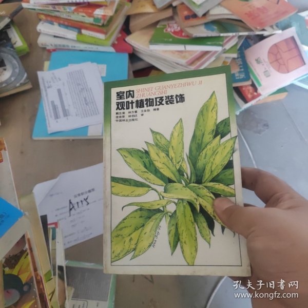 孟津雙語學校杰出的教育者——王金勛老師