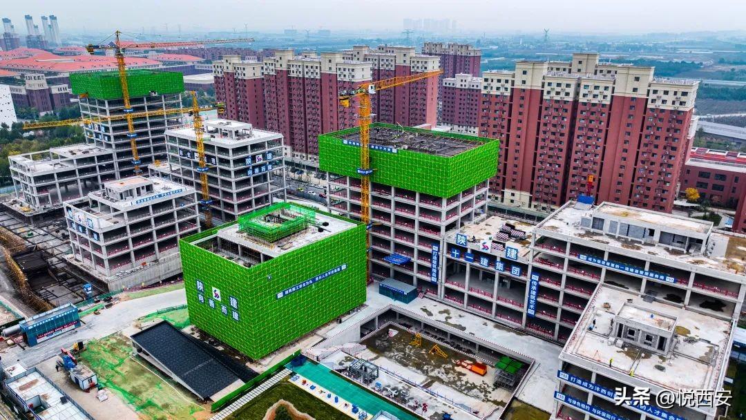 學(xué)校召開2025屆畢業(yè)生春季就業(yè)推進(jìn)會，聚焦重點工作，助力畢業(yè)生順利就業(yè)