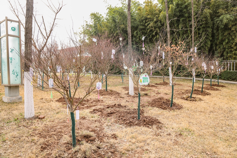 學(xué)校舉辦2025年植樹節(jié)活動，播種綠色希望，共創(chuàng)美好未來校園生態(tài)夢啟航！