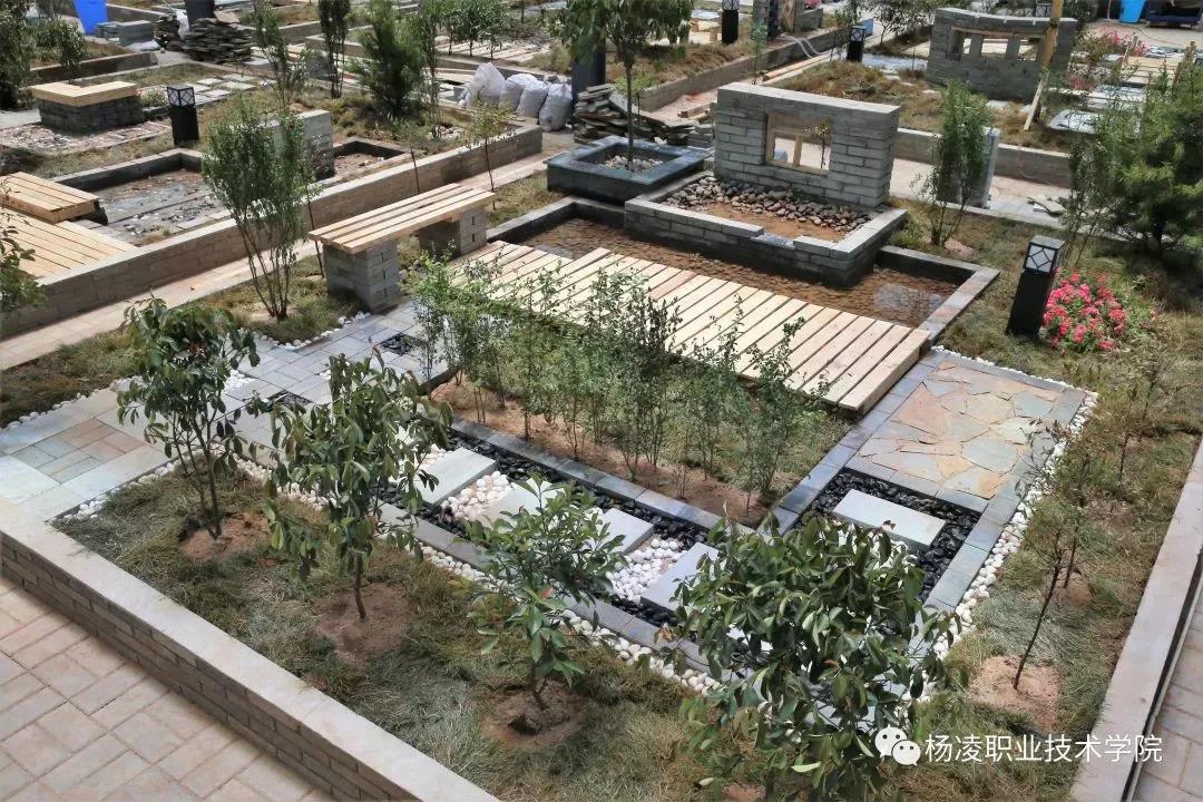我校成功舉辦第十七屆山東省職業(yè)院校技能大賽園林景觀設(shè)計與施工賽項