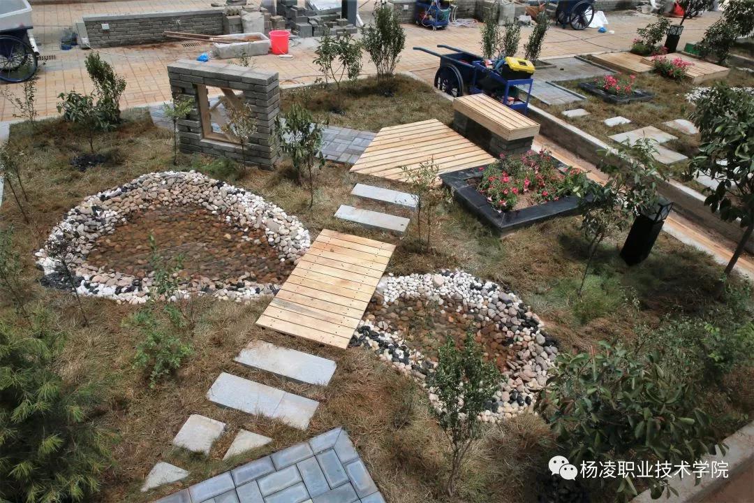 我校成功舉辦第十七屆山東省職業(yè)院校技能大賽園林景觀設(shè)計與施工賽項