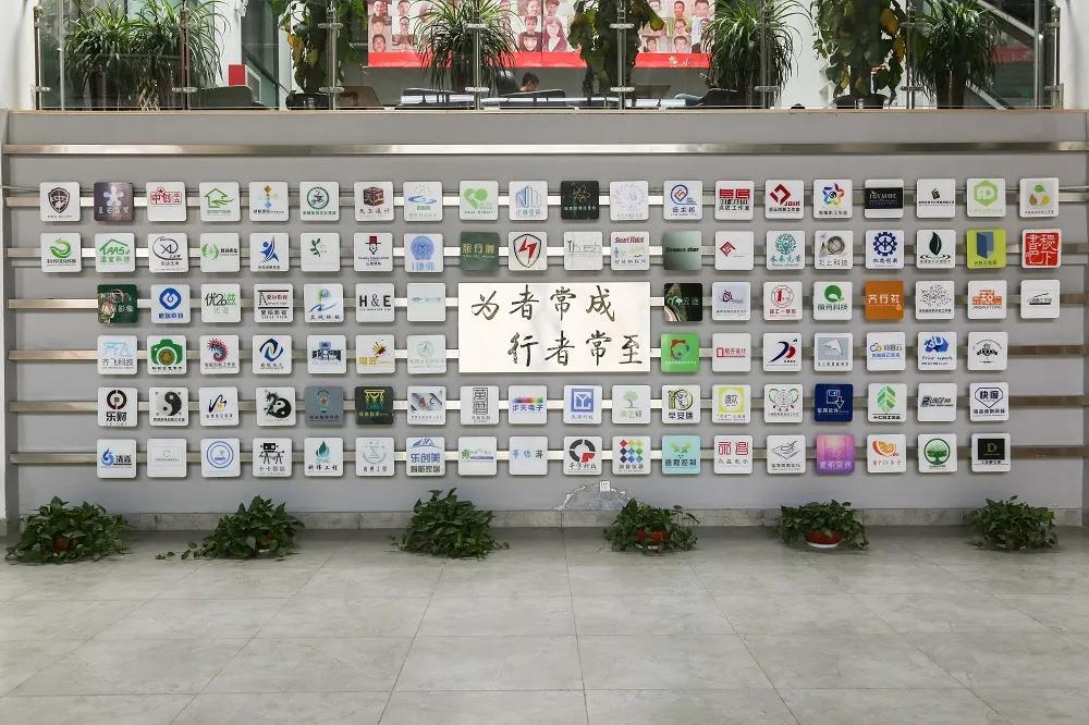 山東省職業(yè)院校技能大賽花藝賽項中的學(xué)院榮耀——榮獲佳績紀實