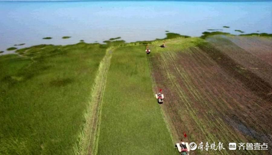 喜報(bào)！學(xué)院生物技術(shù)工程系兩項(xiàng)橫向科研項(xiàng)目成功立項(xiàng)