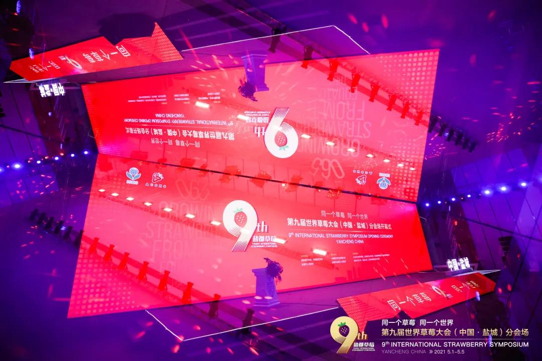 喜報！我院在國際總決賽中榮獲金獎第一名，在2023金磚國家職業(yè)技能大賽上為國爭光