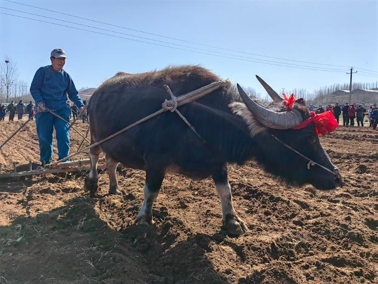 強(qiáng)技鑄魂，提質(zhì)增效，生物技術(shù)工程系全面推進(jìn)現(xiàn)代農(nóng)業(yè)人才培育
