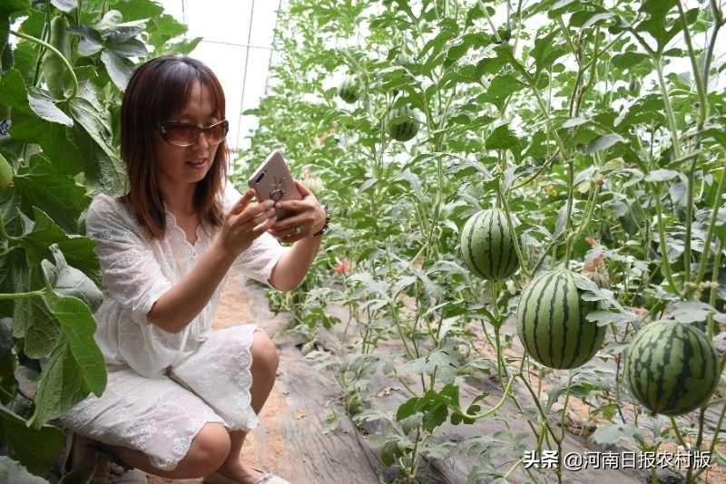 我院召開山東省2020年春季高考農(nóng)林果蔬類專業(yè)技能考試考務(wù)會