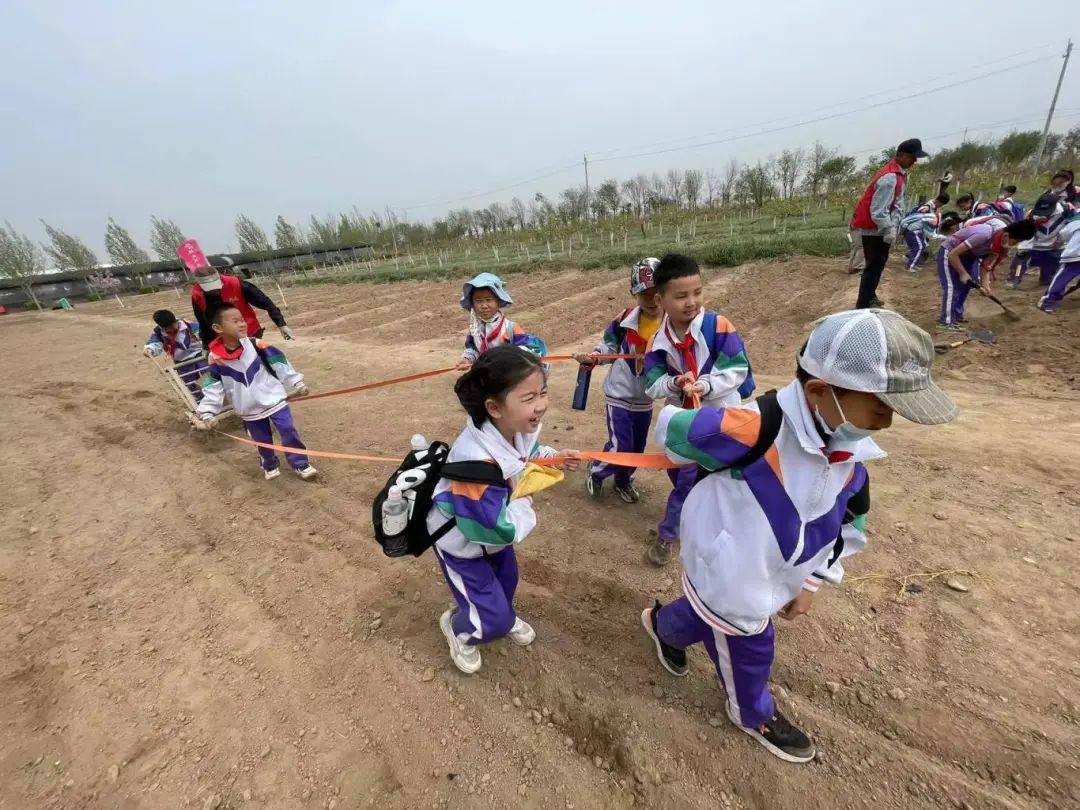 孟津?qū)W校小學(xué)部社會實踐探索之旅，點亮成長之光圓滿結(jié)束